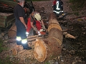 bild (25)